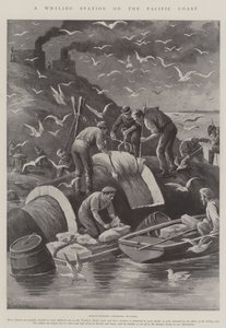 Een Walvisstation aan de Pacifische Kust